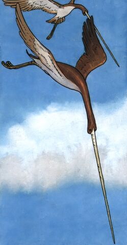 File:Javelins.jpg