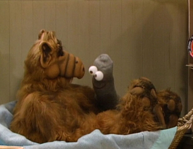 File:776px-Alf-Episode-005.jpg
