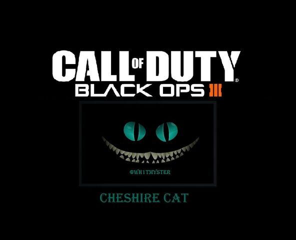 File:Call of duty cat.jpg
