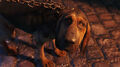 Thumbnail for version as of 04:04, March 1, 2010