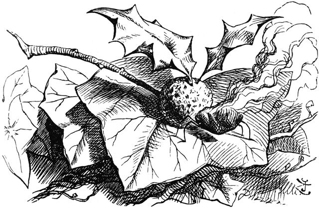 Archivo:Tenniel-Dragonfly.jpg