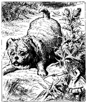 Tenniel-Dog.png