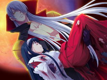 Kamui Holding Senna CG