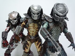Warriorpred.jpg