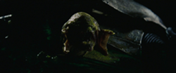 Birth.png
