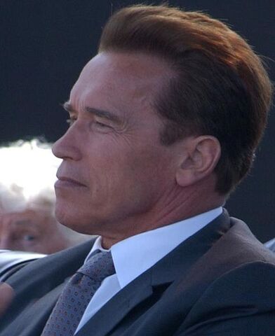 Plik:Arnold Schwarzenegger.jpg
