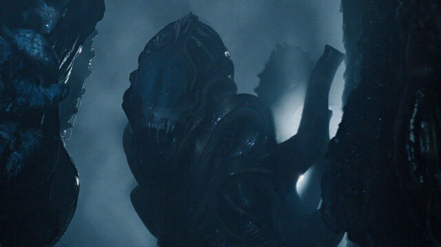 File:Xeno.jpg
