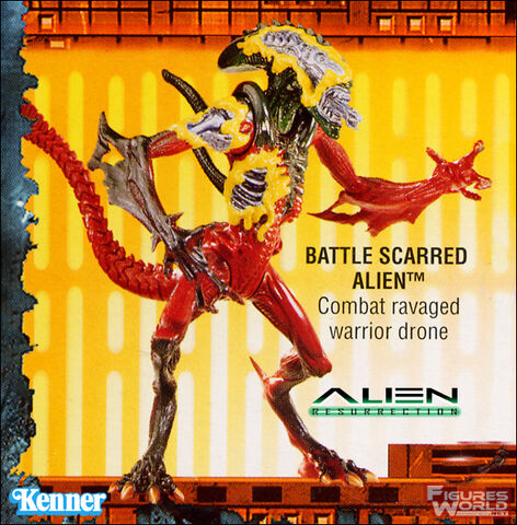 File:Kenner battle scarred 01.jpg