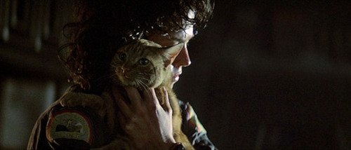 File:Ripley and Jonesy.jpg