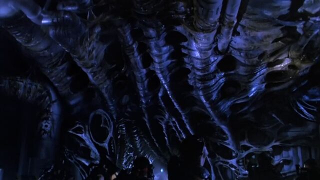 File:Hive 1.jpg