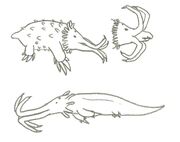 Creature017