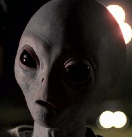File:Bounty Hunter.jpg