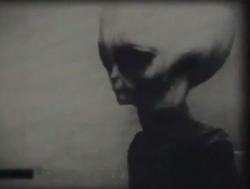 Skinny Bob