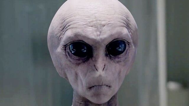 File:The-x-files-finale-scully-s-connection-to-aliens.jpg