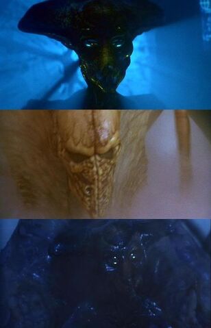 File:Aliens.jpg