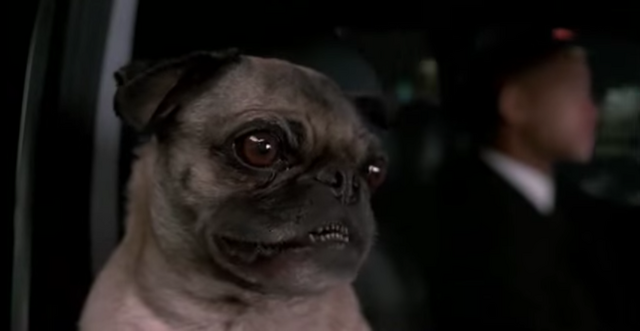 File:Frank Singing.png