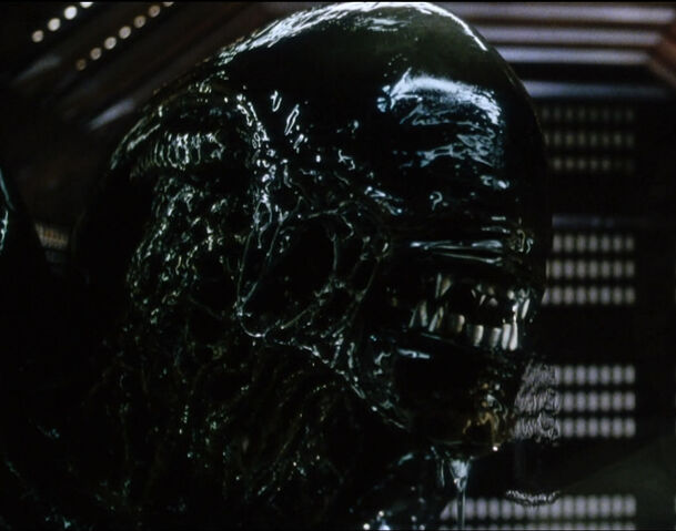 File:Genetic Xenomorph.jpg