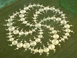 Crop Circle