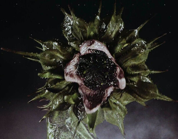 File:Serleena's True Form.jpg