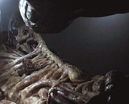 File:Space Jockey Pic 1.jpg