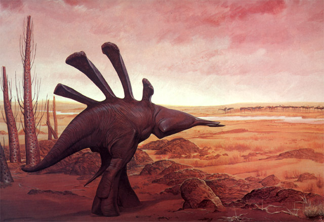 File:Rayback.jpg