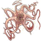 Dianogamouth