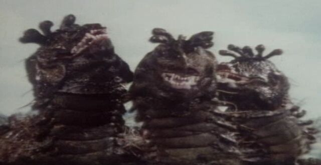 File:Drashigs.jpg