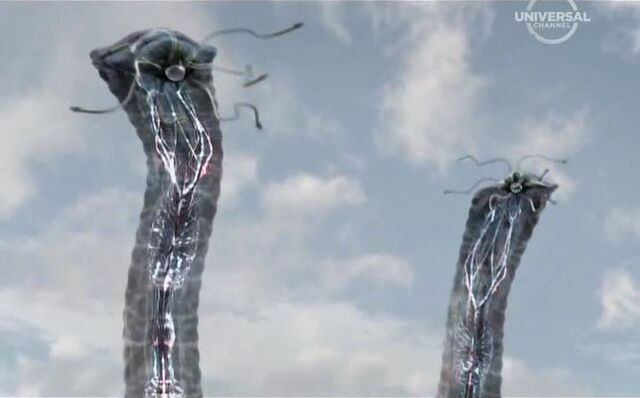 File:BermudaTentacles02.jpg