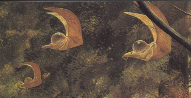 File:Hook-tailed Flyers.png