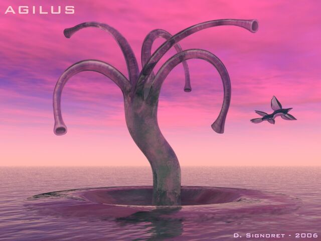 File:Solaris-Agilus.jpg
