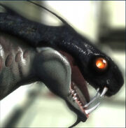 Varren Codex Image