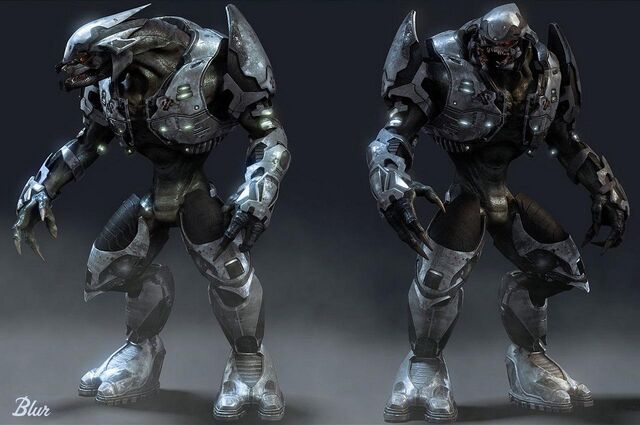File:Sangheili.jpg