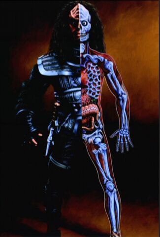 File:Klingon anatomy small.jpg