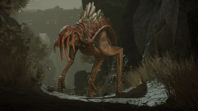 File:Desert Nomad.jpg