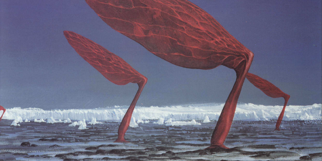 File:Actic Polar-vane.png