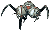 Mantian