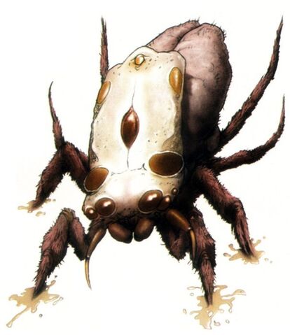 File:Netcaster.jpg