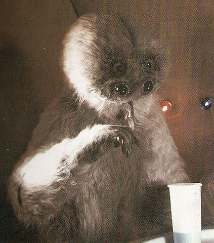File:Muftak1.jpg
