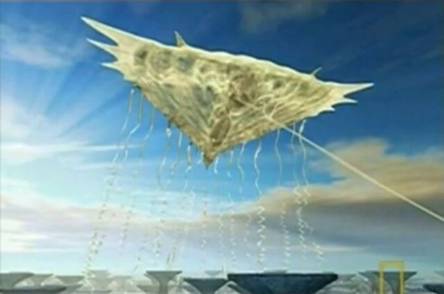 File:Kite Body.jpg