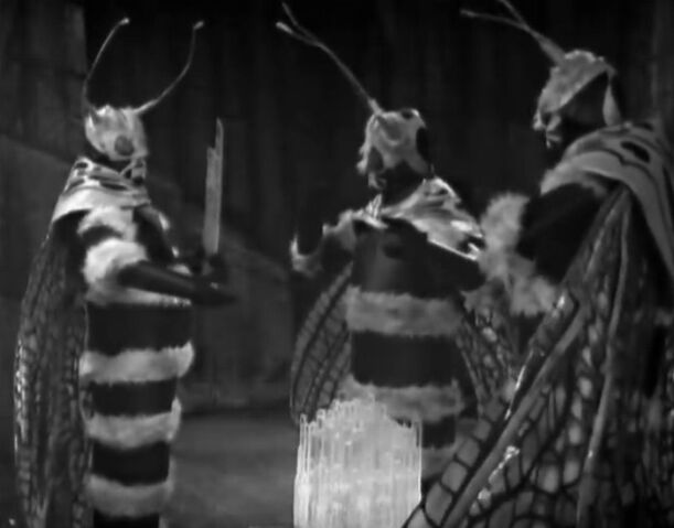 File:Menoptera2.jpg