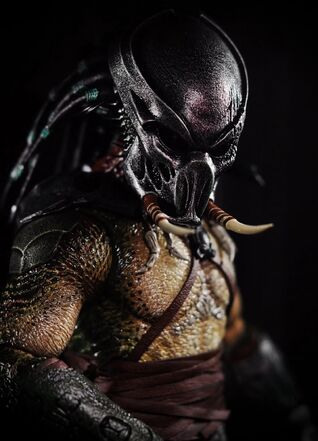 File:Hottoys predators 015.jpg