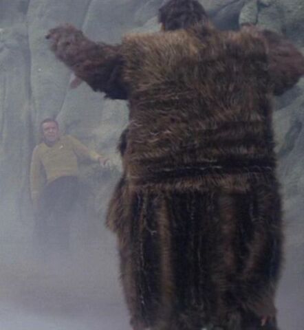 File:Taurus II anthropoid.jpg