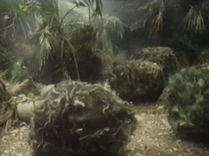 Wolfweed