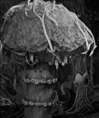 File:GubbageCone.jpg