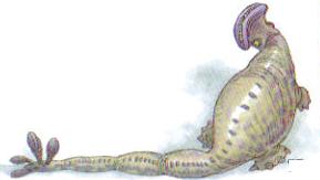 Unknown creature from Dagobah