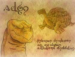 Turtles