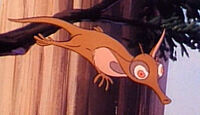 GlidingMunyip