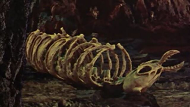 File:Mooncalf.skeleton.jpg