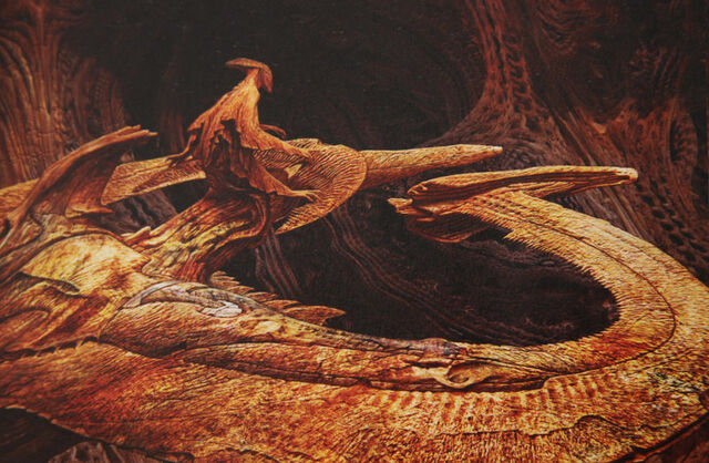 File:Anteverseconcept.jpg