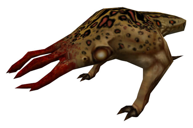File:Bullsquid.jpg